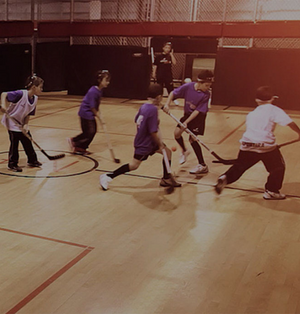 Sportira Cage-Fêtes d&