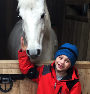 Académie Équestre du Suroît-Fêtes d&