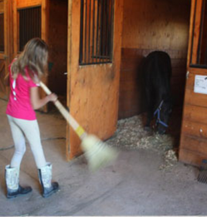 Centre Équestre Le Pré Vert-Fêtes d&