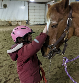 Centre Équestre Le Pré Vert-Fêtes d&
