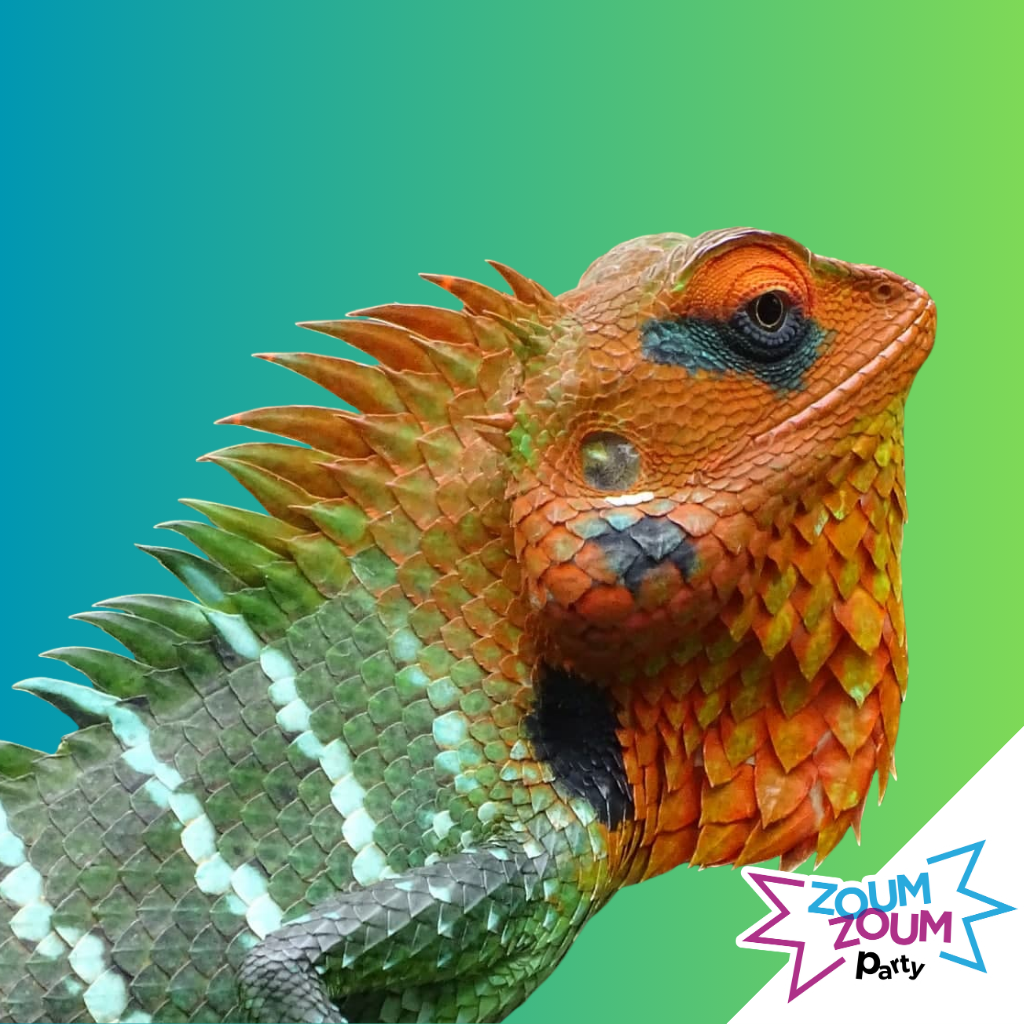 DISCOVERYZoumZoumParty_1