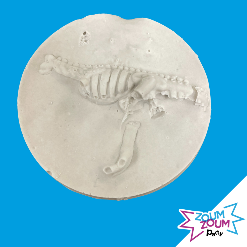 fête à domicile dinosaure pour enfants 