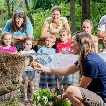 Zoo Ecomuseum-Fêtes d&