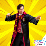 Fête d'enfants à domicile Univers Harry Potter (Mtl)