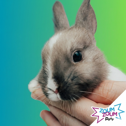 Fête Petits Animaux (Grand Montréal)