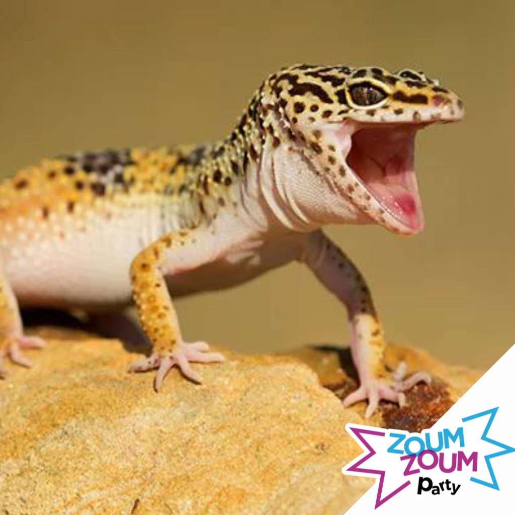 Fête Reptiles