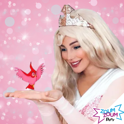 Fête Princesse avec Cadeau Aurore (Montréal et les environs)