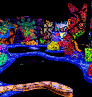 Putting Edge Montreal-Fêtes d&