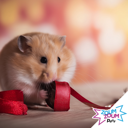 Fête Petits Animaux (Grand Montréal)