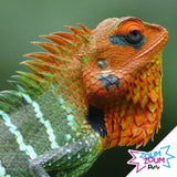 Fête Reptiles
