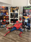 Fête Virtuelle super-héros avec Spiderman par Messagerie Vidéo
